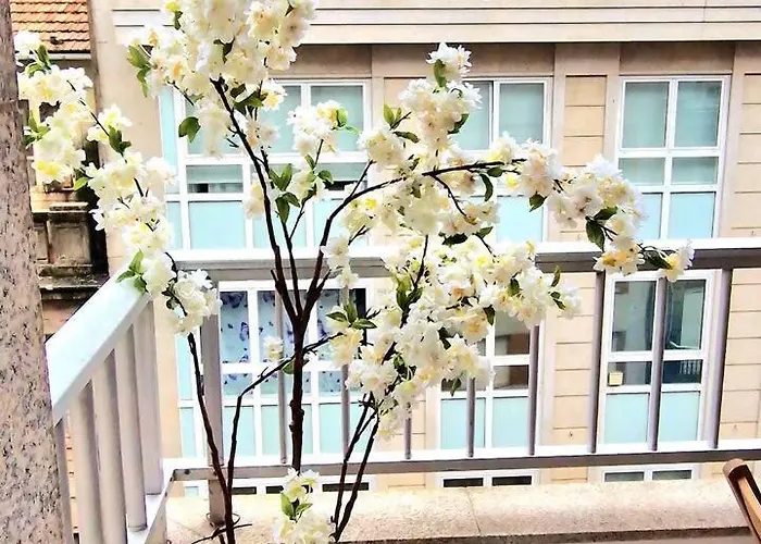 Daire Chabos Plaza Espana Centro Vigo